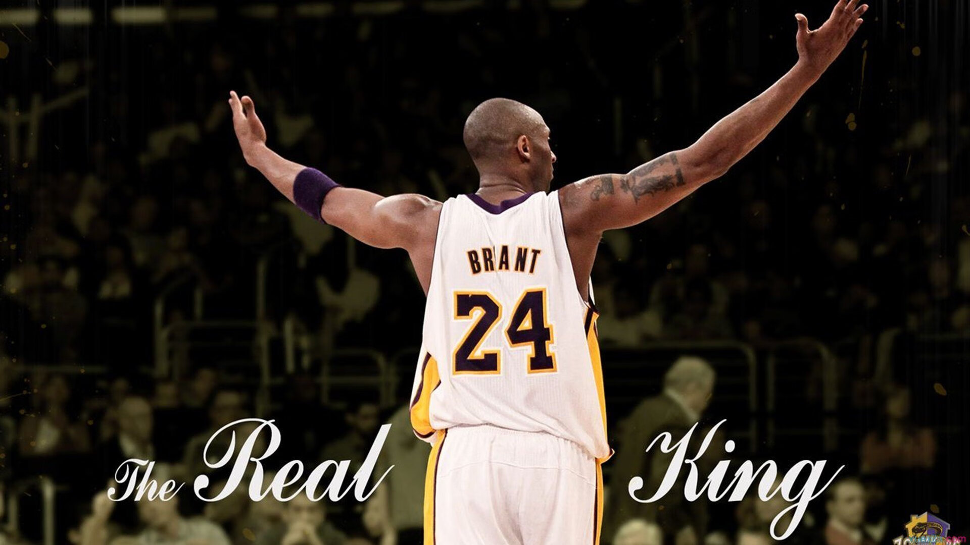 【高手对决】顶尖运动员的激烈碰撞与战术布置